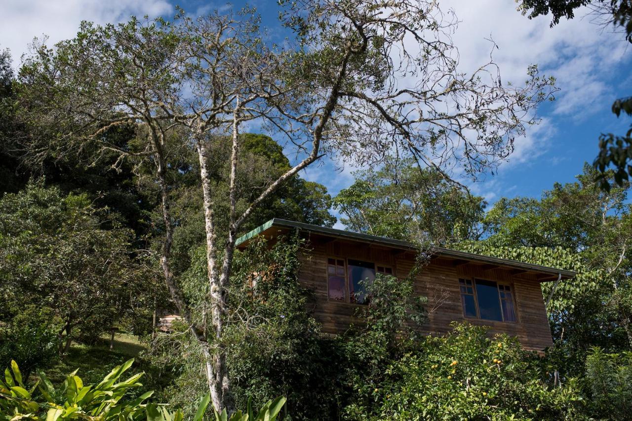 Cedrela Eco-Lodge & Restaurante Copey Luaran gambar