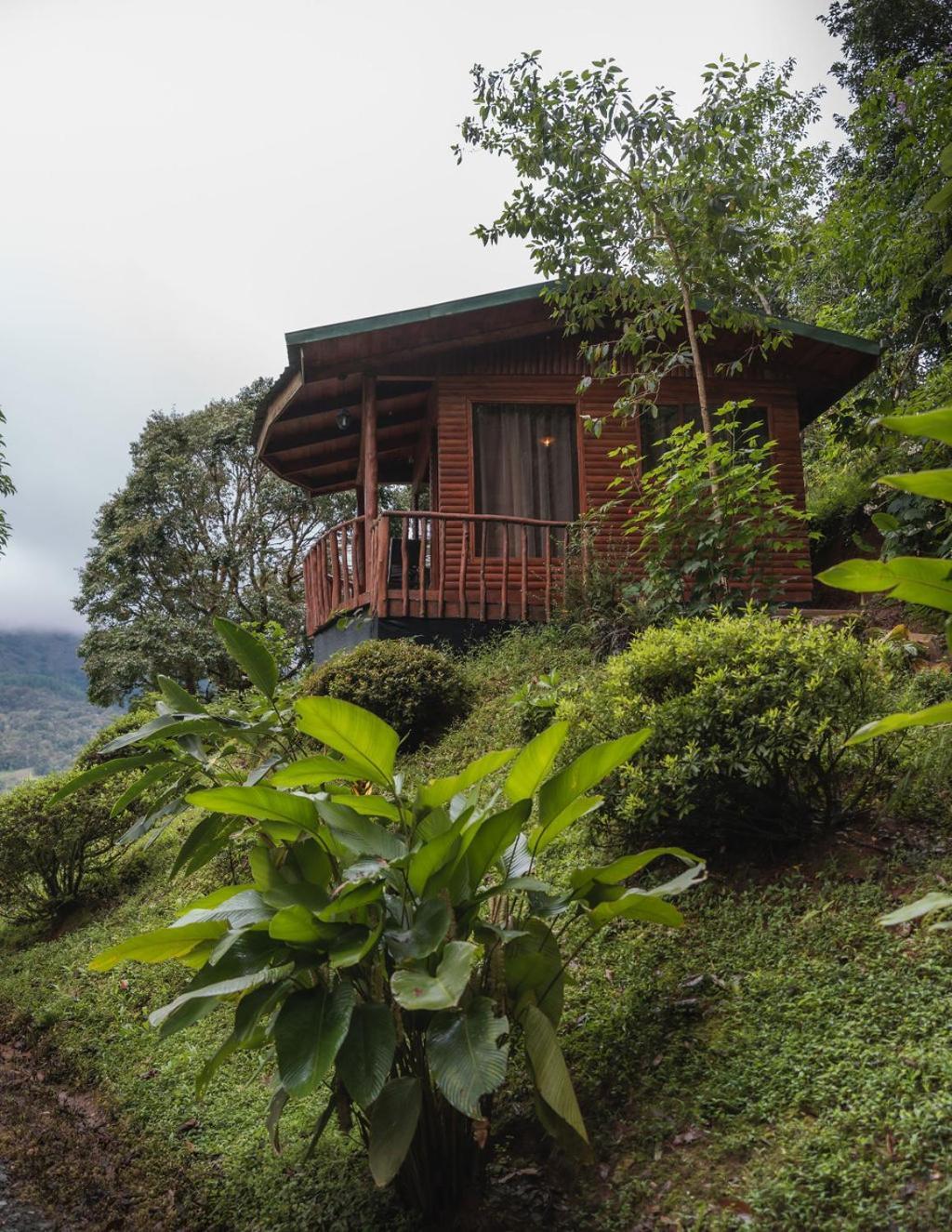 Cedrela Eco-Lodge & Restaurante Copey Luaran gambar