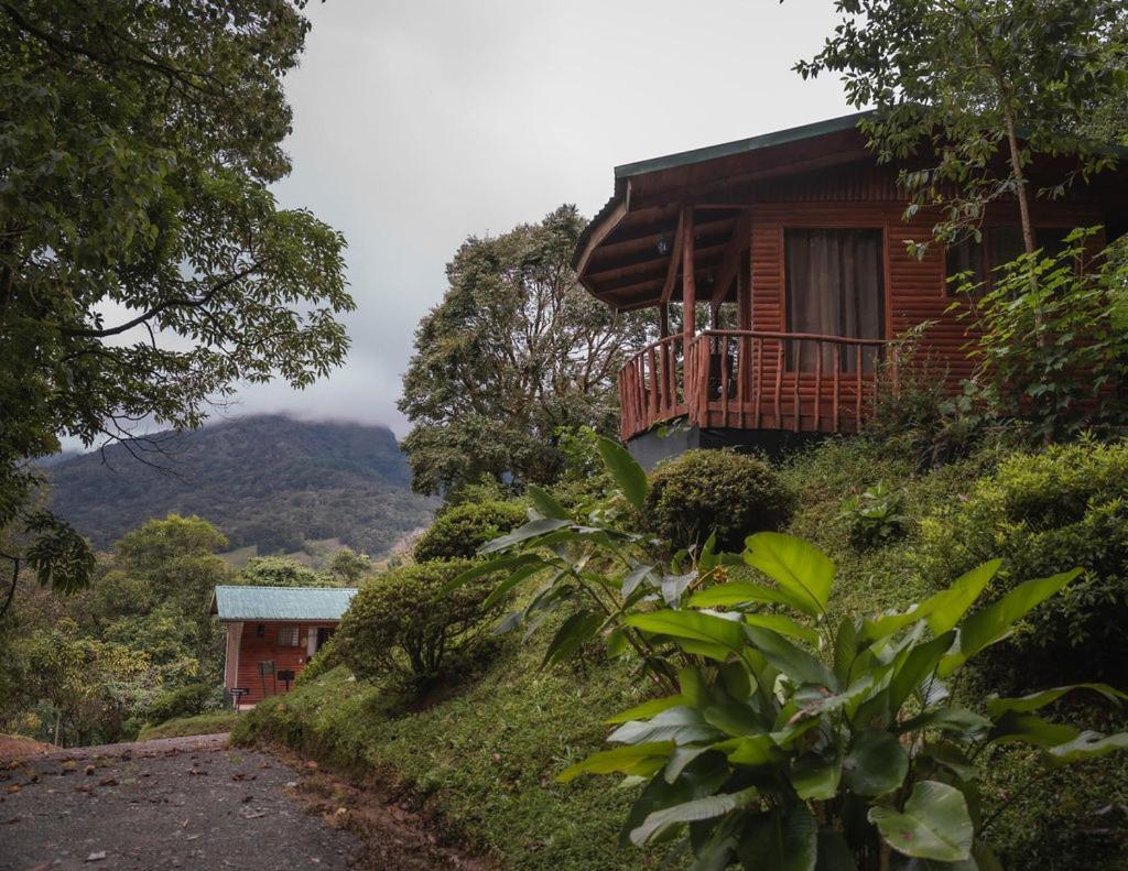 Cedrela Eco-Lodge & Restaurante Copey Luaran gambar