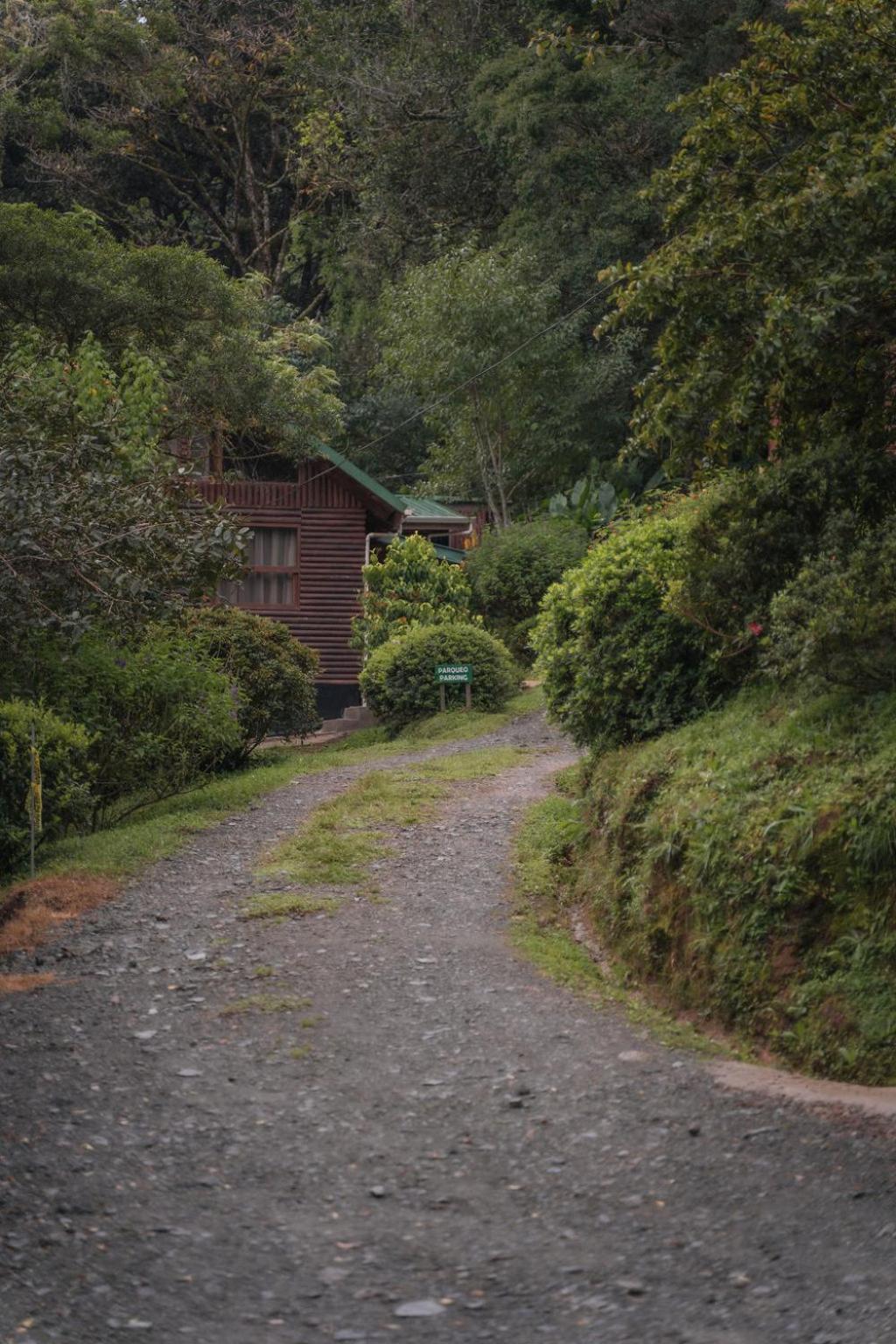 Cedrela Eco-Lodge & Restaurante Copey Luaran gambar