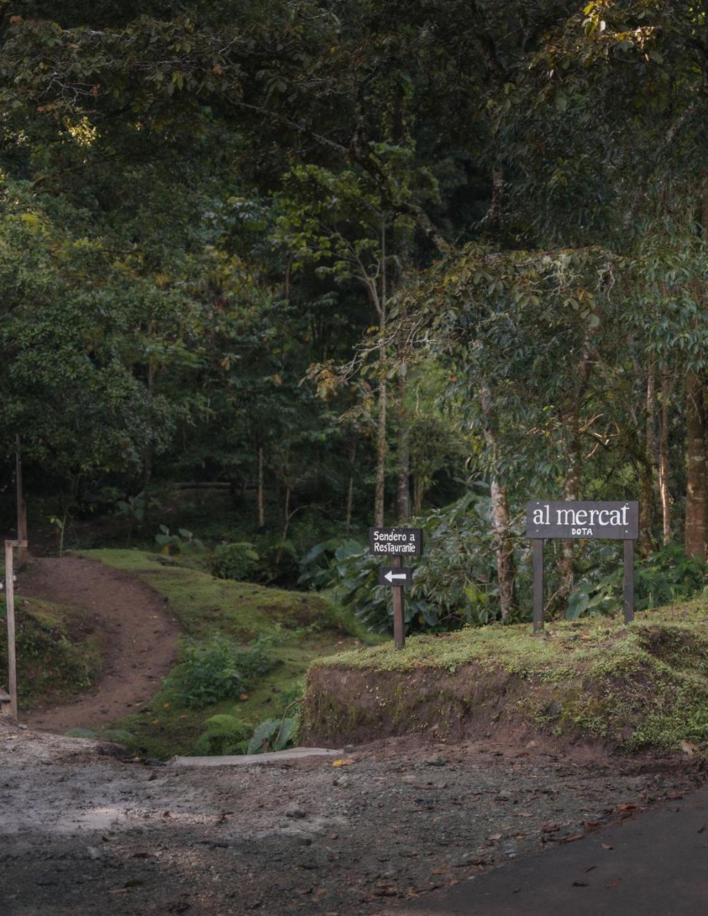 Cedrela Eco-Lodge & Restaurante Copey Luaran gambar