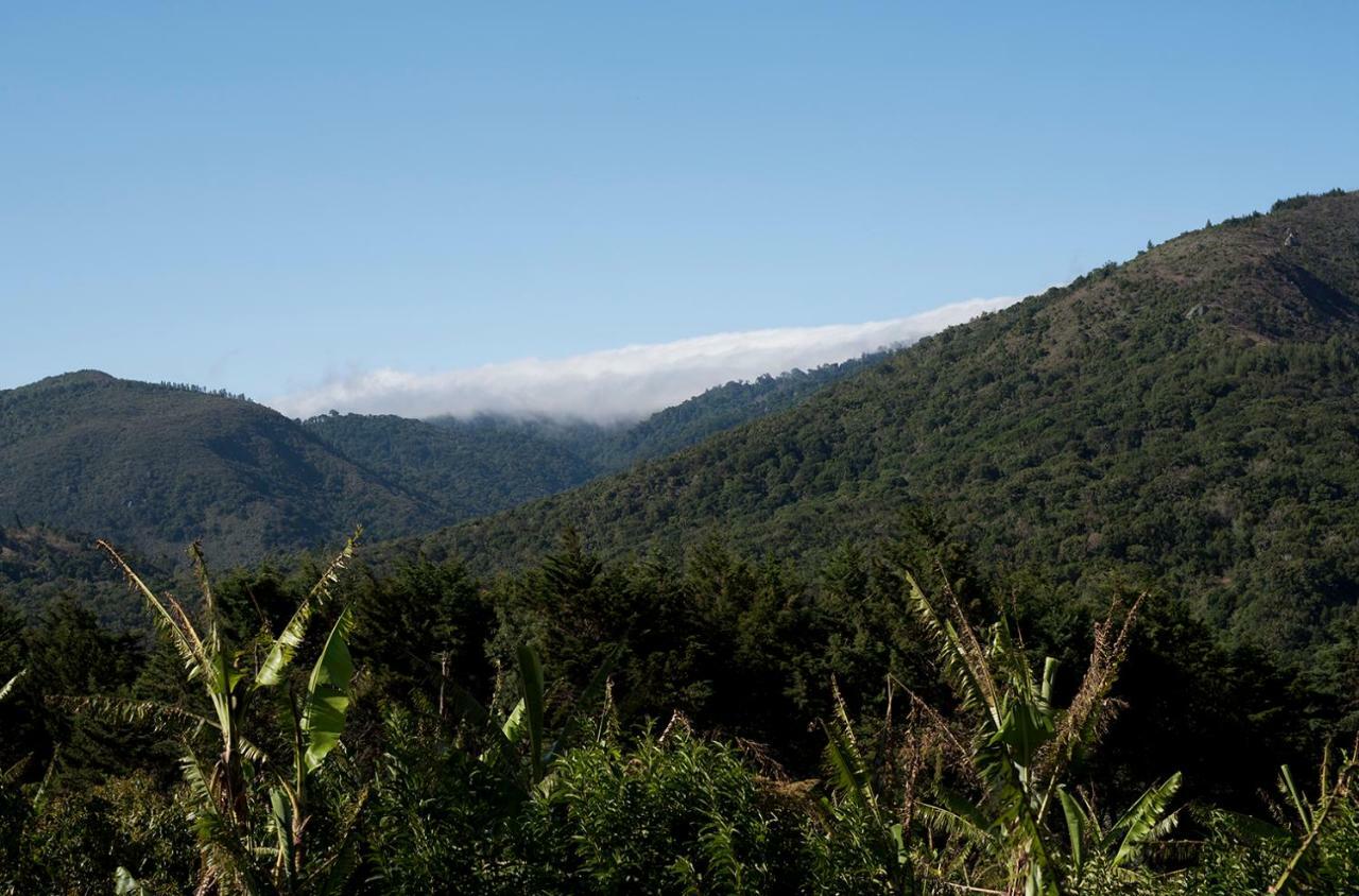 Cedrela Eco-Lodge & Restaurante Copey Luaran gambar